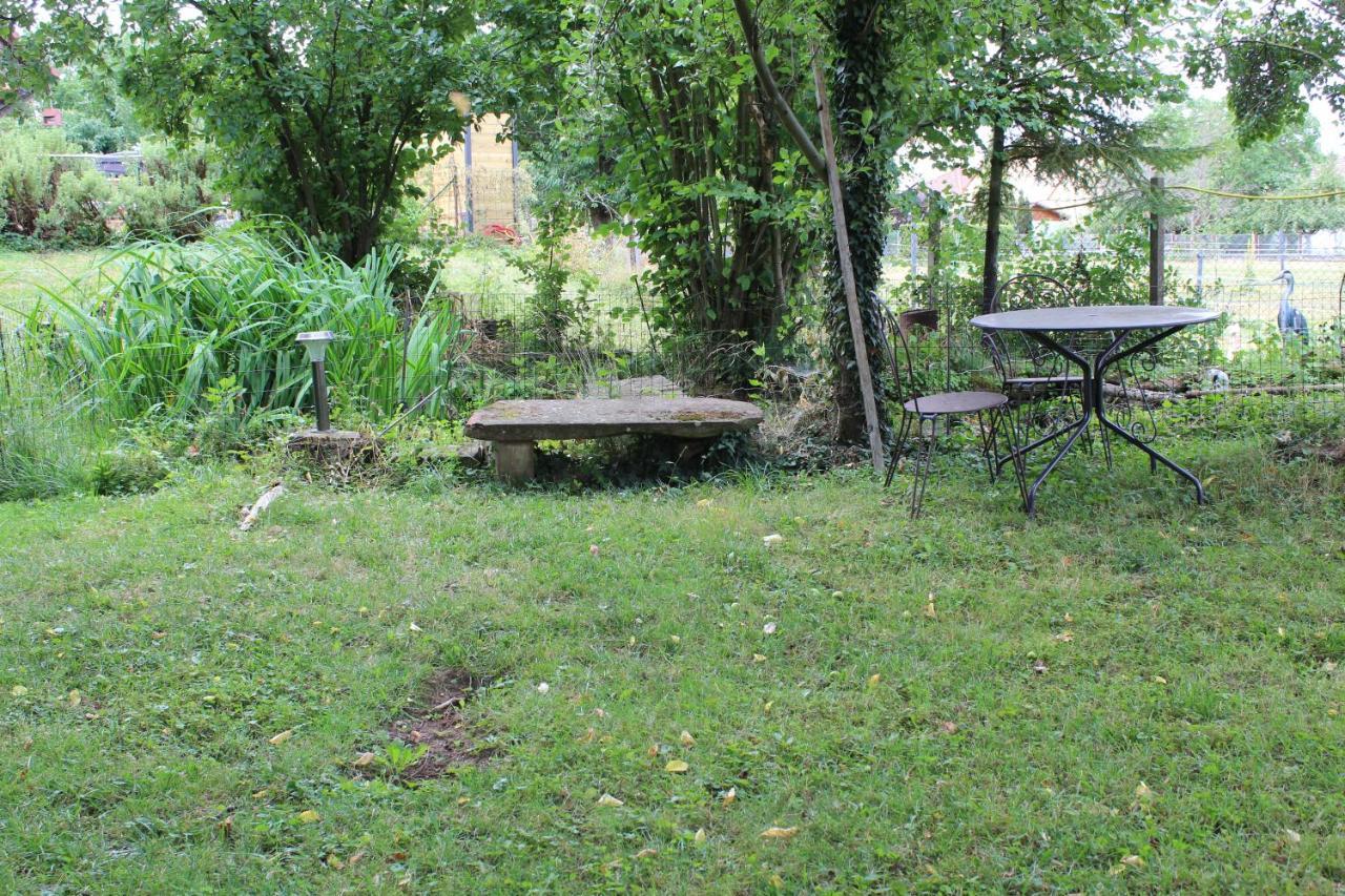 Gites Riviere Et Colline Niedermodern Exterior foto