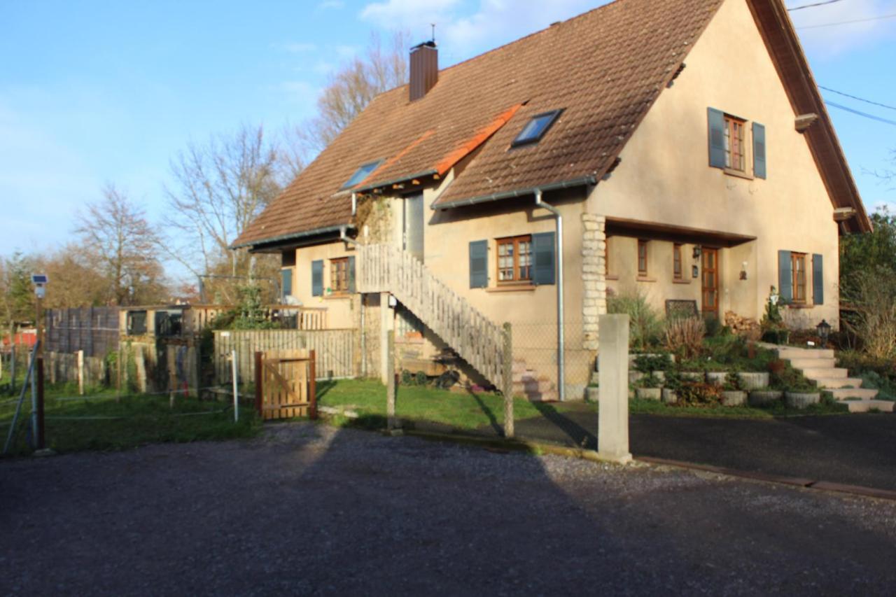 Gites Riviere Et Colline Niedermodern Exterior foto